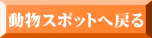 動物スポットへ戻る