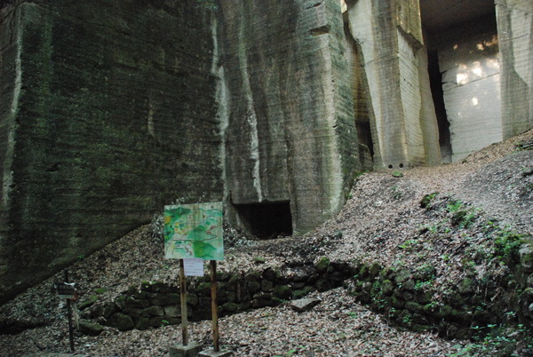 薮塚石切り場 (8)
