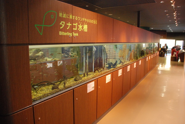 相模川ふれあい科学館 (8)