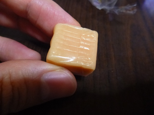 鮭＆鰹キャラメル (6)