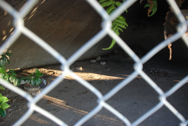 第21海軍航空隊 (3)