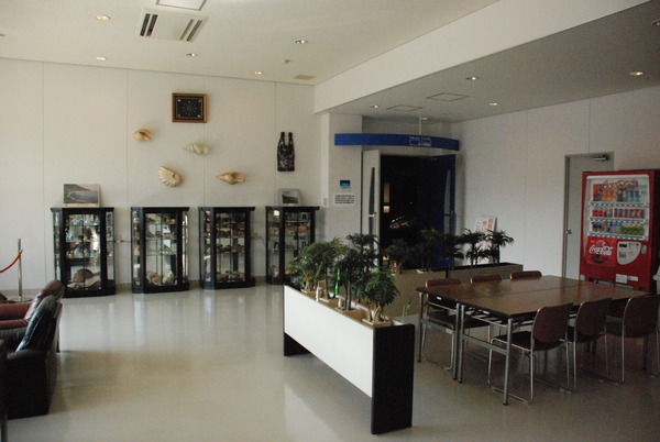 ぱれらめーる (1)