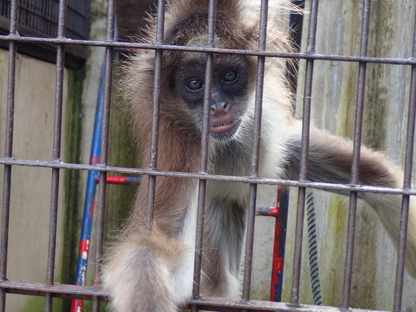 宇都宮動物園 (20)