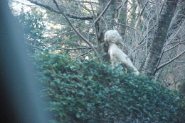 雲見彫刻ライン (14)