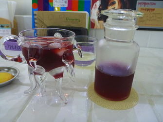 不思議博物館サナトリウム (17)