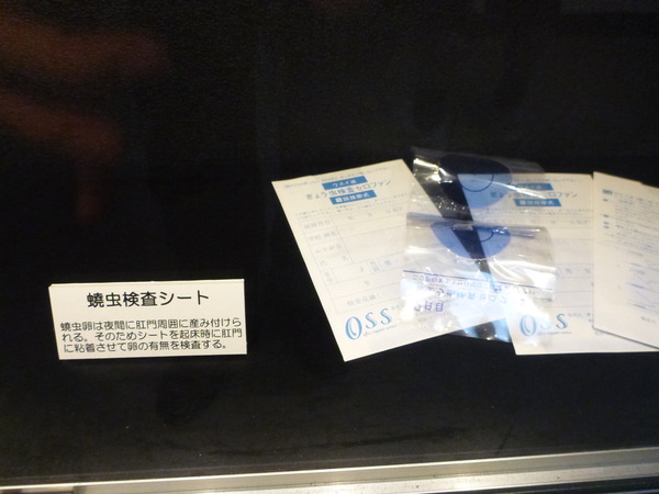 目黒寄生虫館 (47)