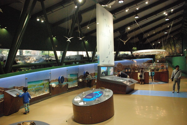 相模川ふれあい科学館 (11)