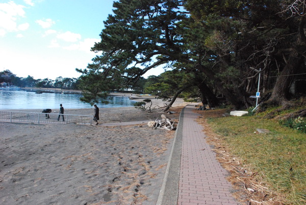 戸田港 釣り (7)