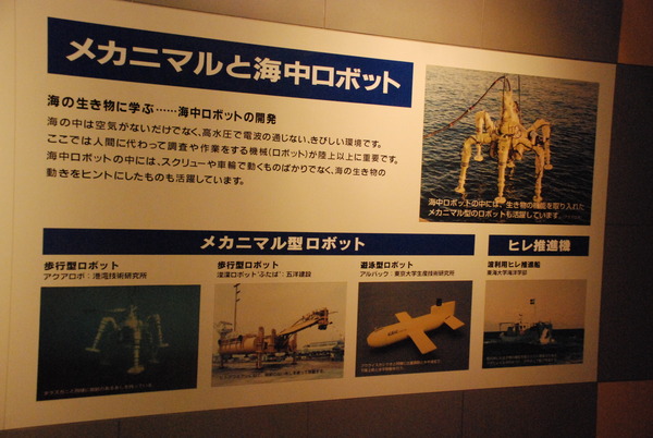 東海大海洋生物博物館 (29)