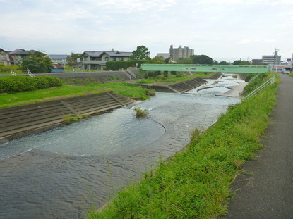 春木川 グッピー (3)