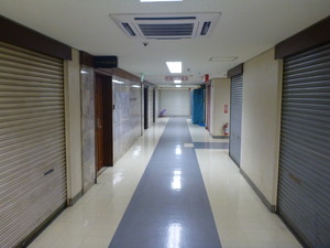 中野ブロードウェイ (15)