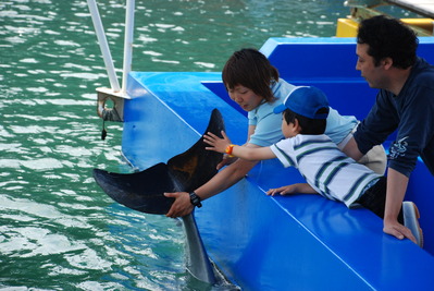 下田海中水族館 (39)