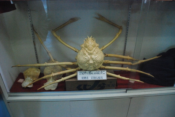 雲見くじら館 (14)