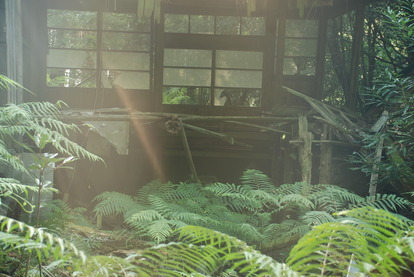 廃村・寒川 (11)