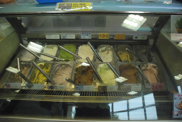 道の駅めぬま (5)