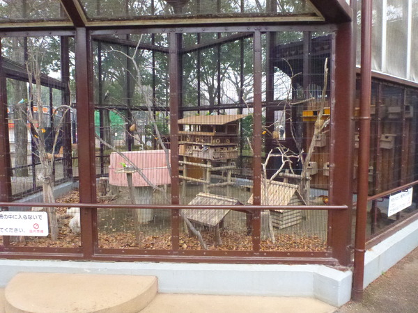 平塚市ふれあい動物園 (10)