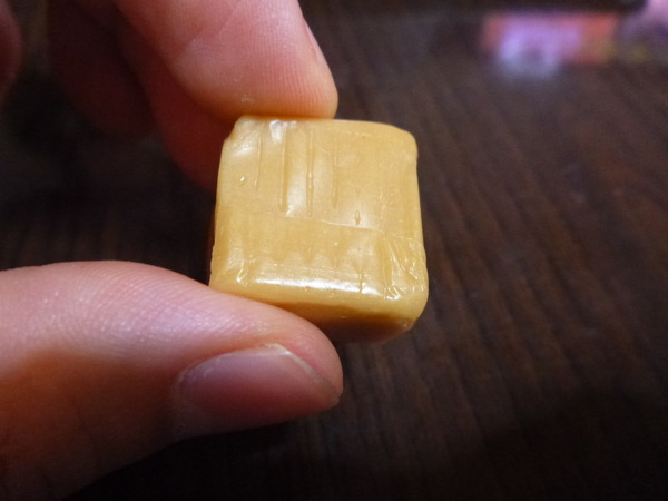 鮭＆鰹キャラメル (7)