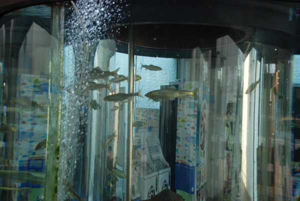 相模川ふれあい科学館 (2)