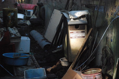 宮ヶ瀬コッコランドパーク (27)