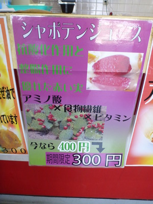 伊豆しゃぼてん公園 (50)