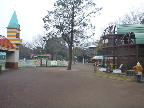 平塚市ふれあい動物園 (8)