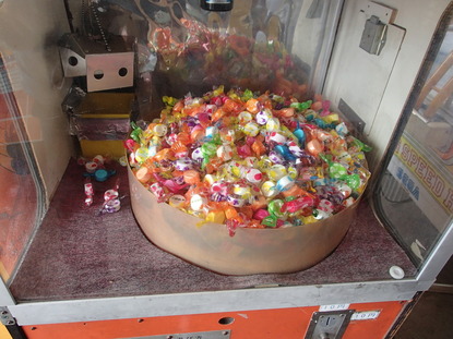 相模湖公園 (15)