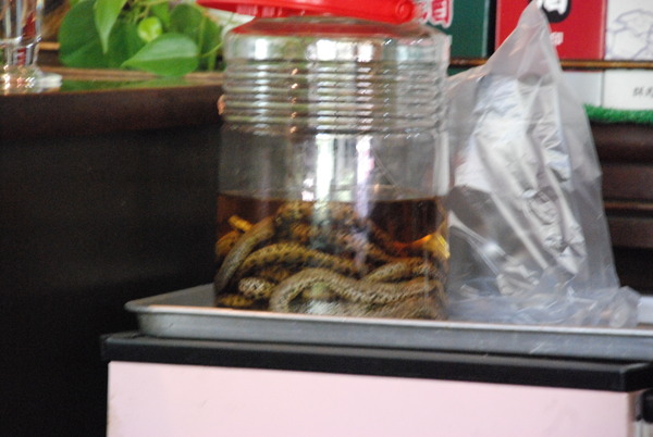 ジャパンスネークセンター (16)