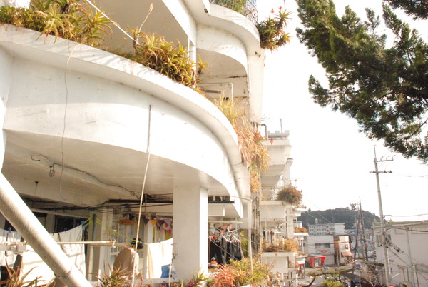 沢田マンション (15)