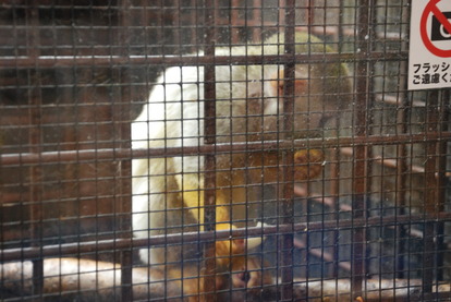 相模川ふれあい科学館 (5)