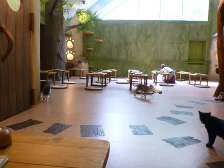 てまりのおうち (11)