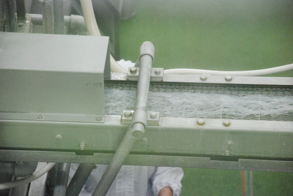 こんにゃくパーク (13)