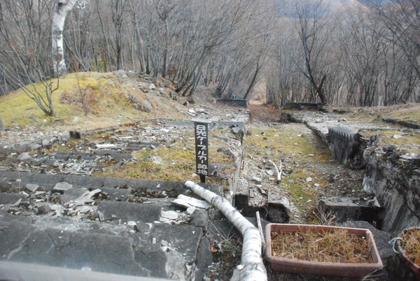 明智平ケーブルカー (5)