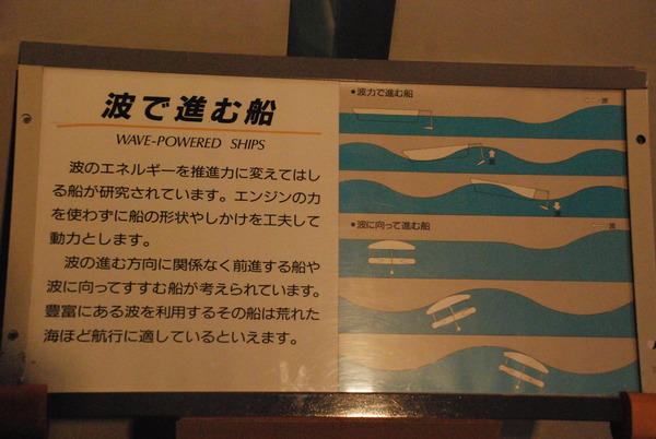 東海大海洋生物博物館 (33)