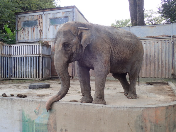 宇都宮動物園 (17)