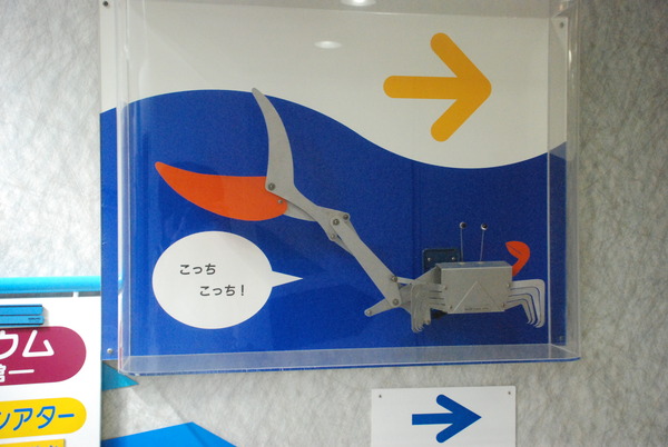 東海大海洋生物博物館 (4)