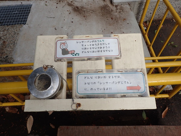 池田動物園 (13)