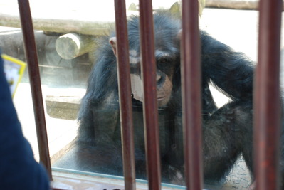 伊豆しゃぼてん公園 (3)