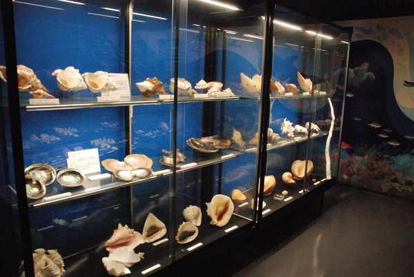 ぱれらめーる (9)