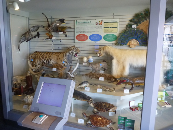 東京税関情報ひろば (4)