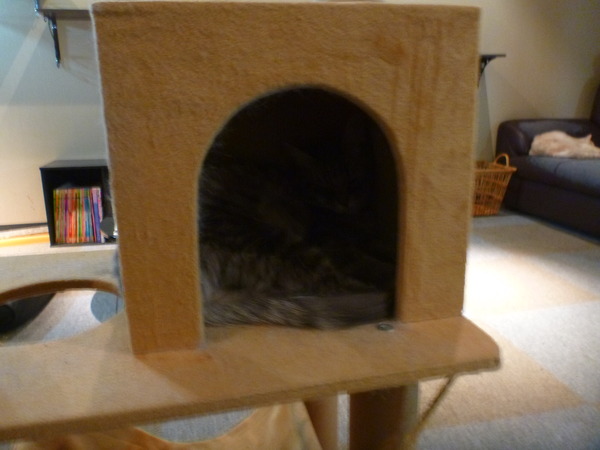 メディアカフェポパイ沼津店 (9)