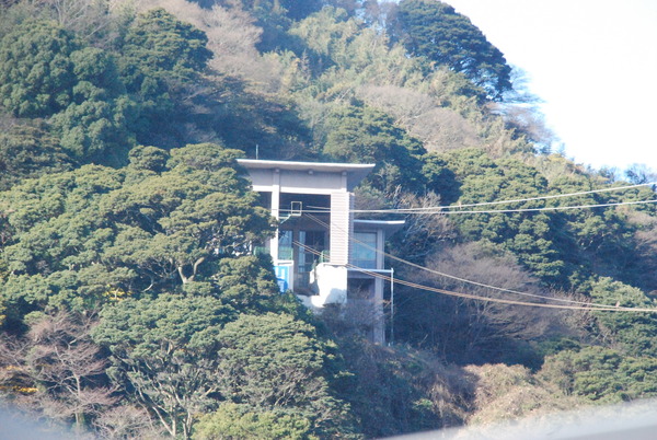 あわしまマリンパーク (3)