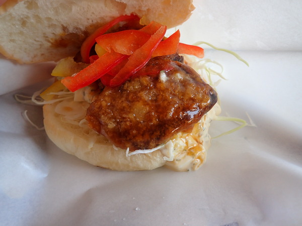 道の駅たいじ (21)