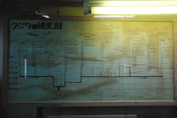 雲見くじら館 (10)