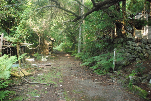 廃村・寒川 (8)