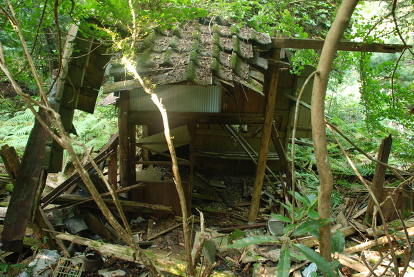 廃村・寒川 (21)