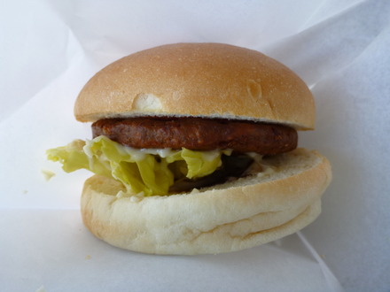 伊豆しゃぼてん公園 (53)