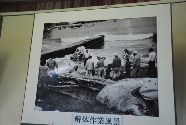 雲見くじら館 (28)