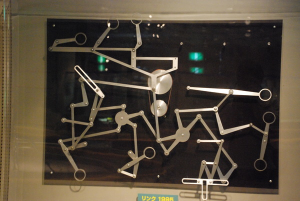 東海大海洋生物博物館 (25)