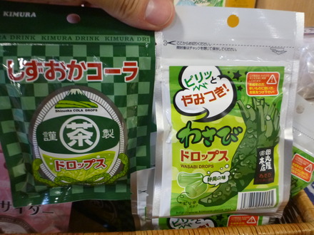 伊豆しゃぼてん公園 (33)