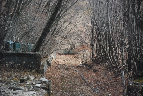 明智平ケーブルカー (6)